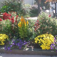 Judy Ward Photo 21
