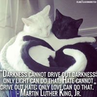 Debra Simons Photo 40