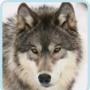 George Hauser Photo 7