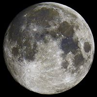 Paul Murray Photo 57