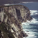 Cliff Campbell Photo 15