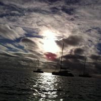 Steve Downing Photo 5