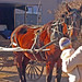 Sandra Farmer Photo 38