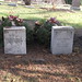 Elizabeth Flint Photo 22