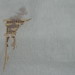 Theresa Cross Photo 36