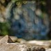 Cheri Miller Photo 21