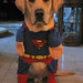Jake Justice Photo 37
