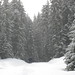 Tracy Peters Photo 36