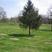 Eugene Perry Photo 6