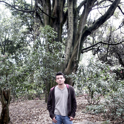 Diego Cardona Photo 18