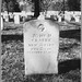 John Musselman Photo 10