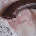Jeffrey Utter Photo 9