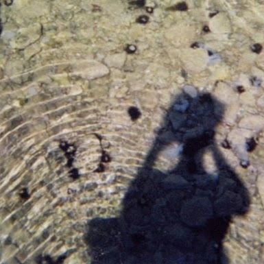 Julia Wetherell Photo 6