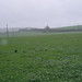 Nicholas Hutton Photo 9