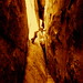 Joshua Vice Photo 26