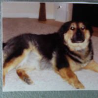 Mary Mccrary Photo 9