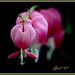 Gail Childs Photo 21