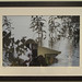 Christopher Angelo Photo 14