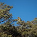 Scott Matthys Photo 2