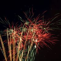 Deborah Volpe Photo 15