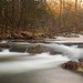 Christine Snelson Photo 9