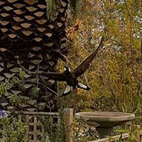 Jim Carvalho Photo 8