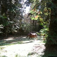 Ruth Warner Photo 8