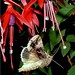 Janet Clark Photo 38