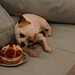 Antoinette Berry Photo 19