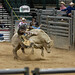 Phillip Todd Photo 35