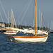 Martha Robbins Photo 9
