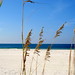 Sandy Whiting Photo 24
