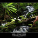 Lynn Fall Photo 5