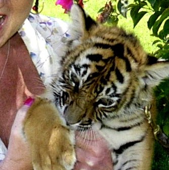 Debra Dunlap Photo 30