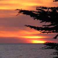 Margaret Landsperger Photo 1