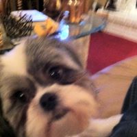 Janice Gandy Photo 21