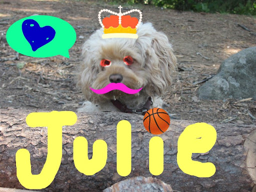 Julie Albright Photo 10