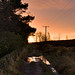 Dawn Dore Photo 12