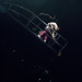 Tony Lyons Photo 6