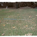 Judith Knowles Photo 29