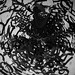 Ebon Sharp Photo 4
