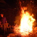 Jacqueline Burns Photo 47