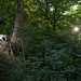 Tanya Rowe Photo 26
