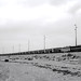 Robert Dunham Photo 21