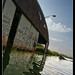 Timothy Marsh Photo 36