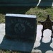 Craig Peabody Photo 8