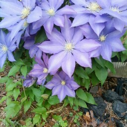 Donna Taylor Photo 41