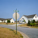Jim Crow Photo 10