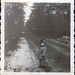 Judith Cohen Photo 29
