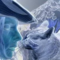 Christopher Maley Photo 7